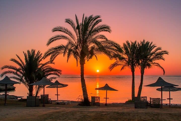 Dolphin House Snorkeling Trip from Hurghada: Corals, Dolphins & Banana Boat photo 4