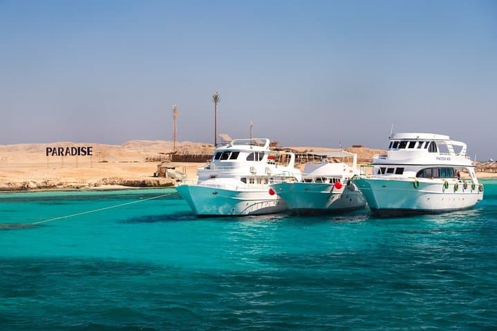 Dolphin House Snorkeling Trip from Hurghada: Corals, Dolphins & Banana Boat photo 5