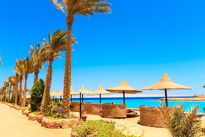 Dolphin House Snorkeling Trip from Hurghada: Corals, Dolphins & Banana Boat photo 6