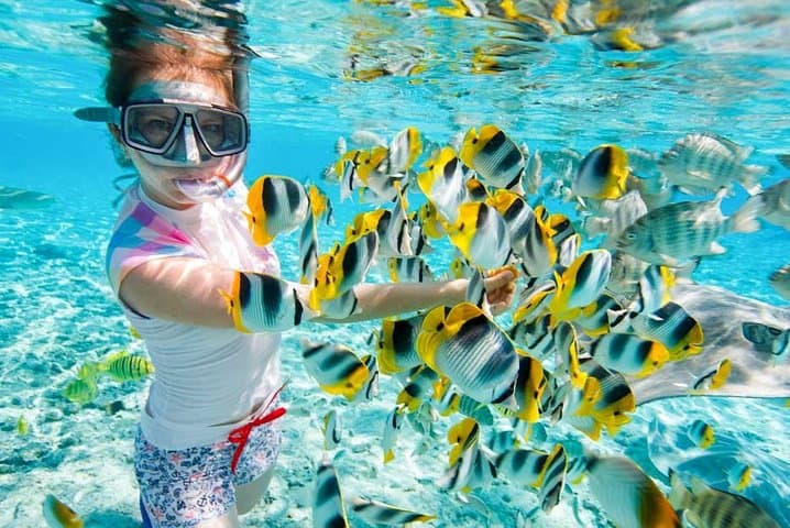 Dolphin House Snorkeling Trip from Hurghada: Corals, Dolphins & Banana Boat photo 2