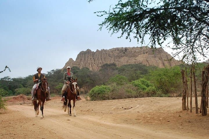 Pomac Forest & Sican Museum Day Tour — Pomac Forest Historic Sanctuary from Chiclayo photo 2