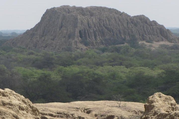 Pomac Forest & Sican Museum Day Tour — Pomac Forest Historic Sanctuary from Chiclayo photo 4