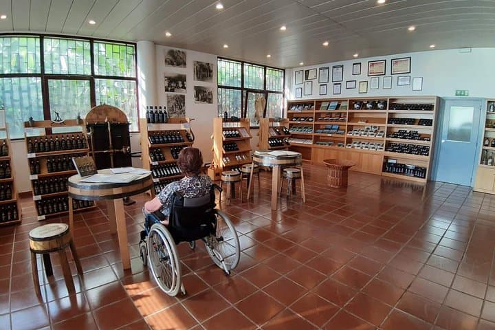 Accessible Cabo Girão Half‑Day Tour — Wheelchair‑Friendly Views & Off‑Road Chairs in Madeira photo 2