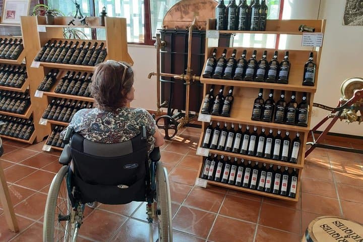 Accessible Cabo Girão Half‑Day Tour — Wheelchair‑Friendly Views & Off‑Road Chairs in Madeira photo 3
