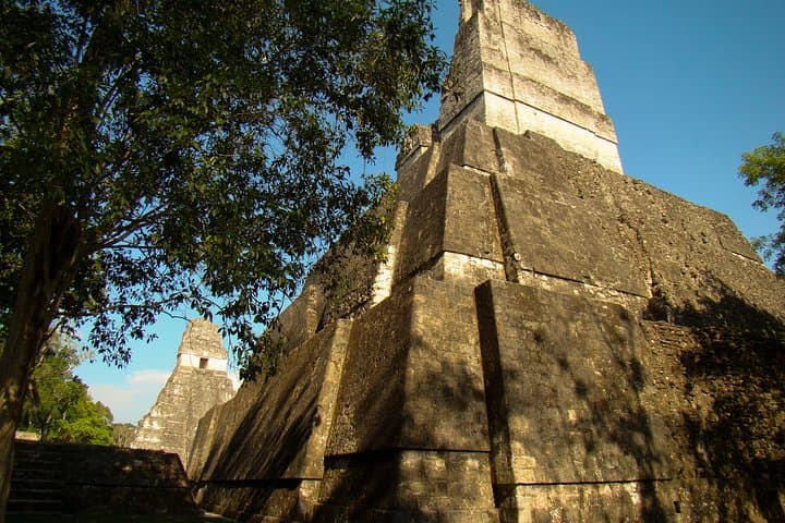 Tikal Full-Day Guided Ruins Tour from Flores — Explore Mayan Temples & Jungle Wildlife