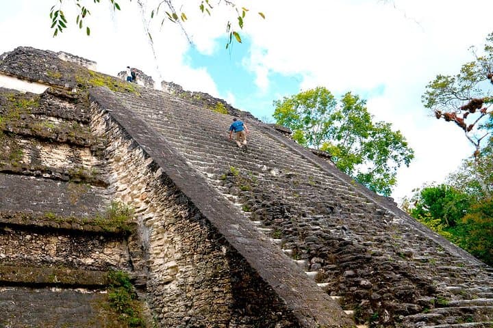 Tikal Full-Day Guided Ruins Tour from Flores — Explore Mayan Temples & Jungle Wildlife photo 2