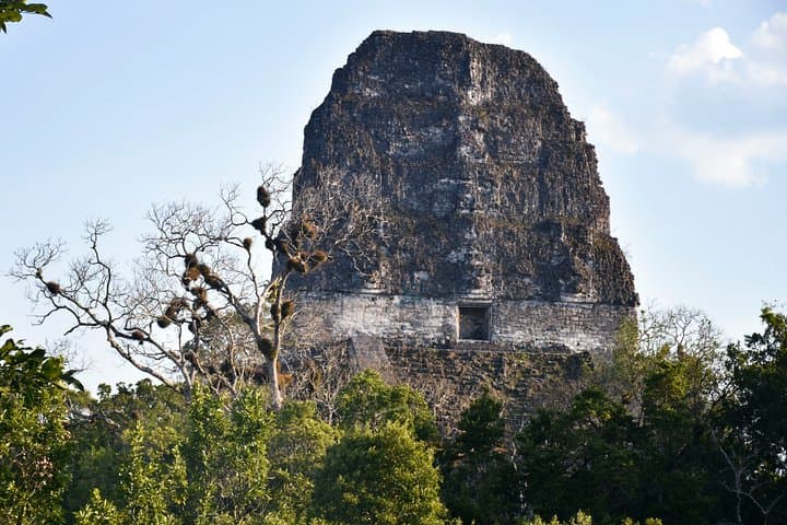 Tikal Full-Day Guided Ruins Tour from Flores — Explore Mayan Temples & Jungle Wildlife photo 3