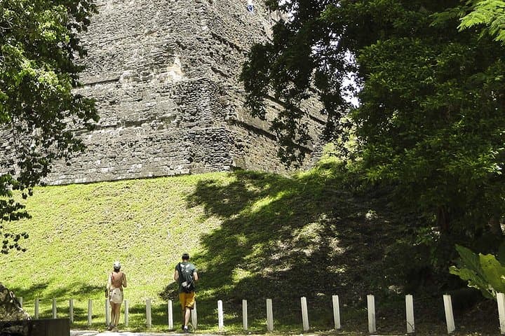 Tikal Full-Day Guided Ruins Tour from Flores — Explore Mayan Temples & Jungle Wildlife photo 4