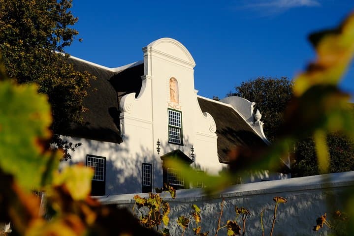 Groot Constantia Private Shore Excursion: Cape Town Small-Group Wine Tour