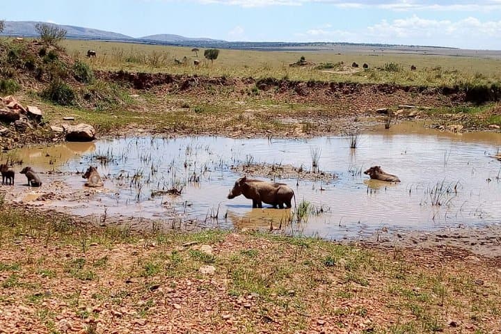 7-day-maasai-mara-nakuru-naivasha-amboseli-budget-group-safari photo 4
