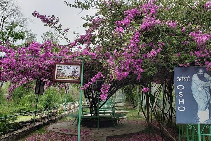 Osho Upaban Village Day Tour from Pokhara: Zen Garden, Seti River & Mountain Views photo 4