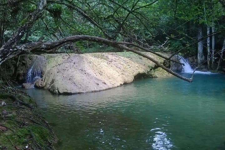 Monte Plata Rainforest Waterfalls: Private 7-Hour Eco Tour from Santo Domingo photo 4