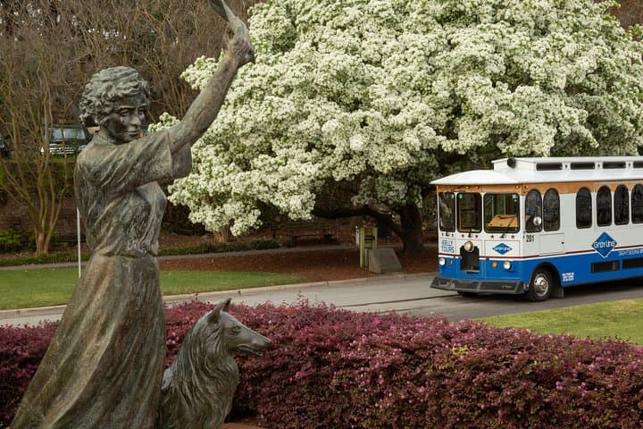 Explore Savannah Sightseeing Trolley Tour: A Comprehensive Guide to the Historic City Experience photo 6