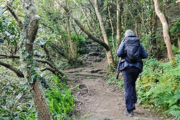 Coastal Camino: Private Hike from San Sebastián to Pasajes and Albaola photo 5