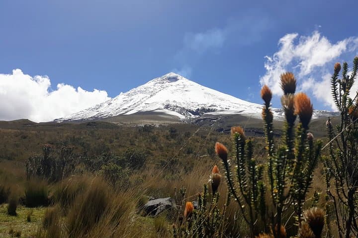 Cotopaxi Volcano Private Day Trip from Quito — Cotopaxi National Park Adventure photo 6