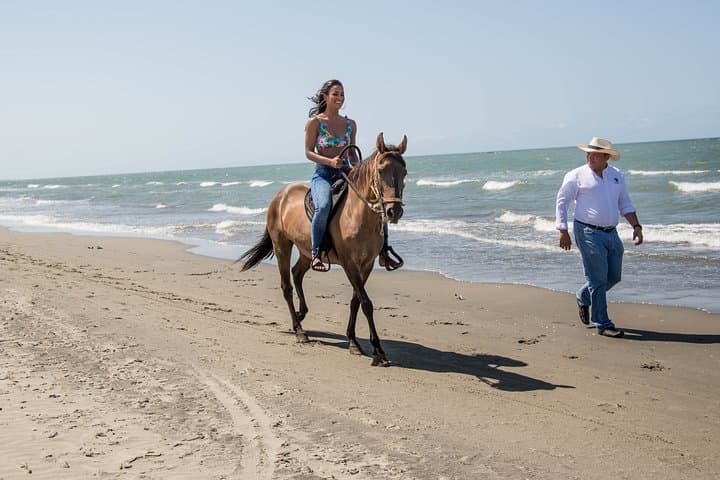 Beach Horseback Riding at Manzanillo: 4-Hour Guided Ride from Cartagena photo 4