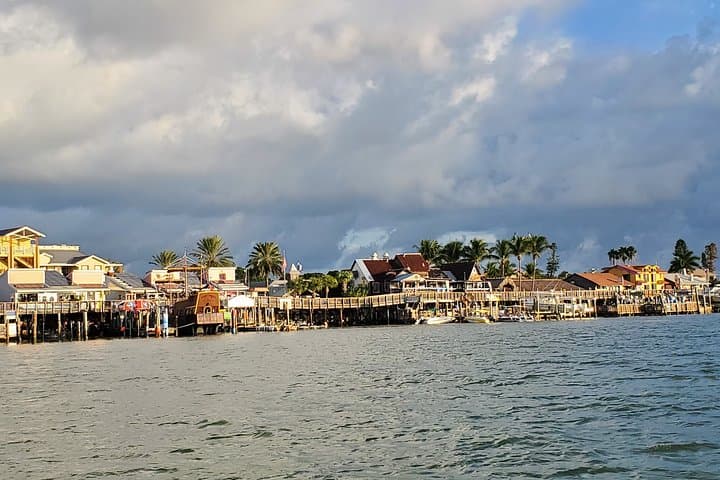 John's Pass Dolphin Watching Cruise — 90-Minute Eco Tour in Madeira Beach, FL photo 6