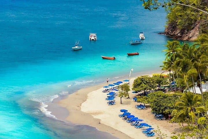 Costa Rica Pura Vida: 6-Day Nature & Adventure Package from San José photo 4