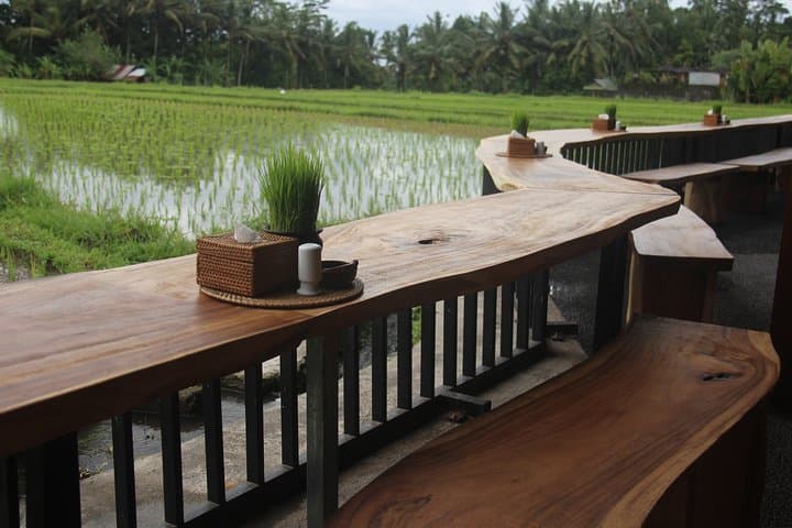 Ayung River Rafting in Ubud: 9-Mile White-Water Adventure with Lunch photo 5