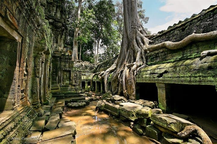 5-Day Deep Dive into Angkor: Siem Reap Temple Tour & Cultural Highlights photo 6