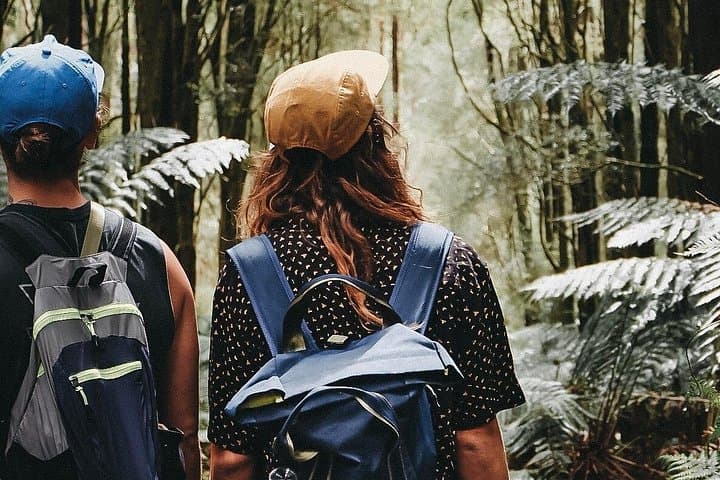 Sherbrooke Forest Hike and Yarra Valley Wine & Gin Day Tour from Melbourne