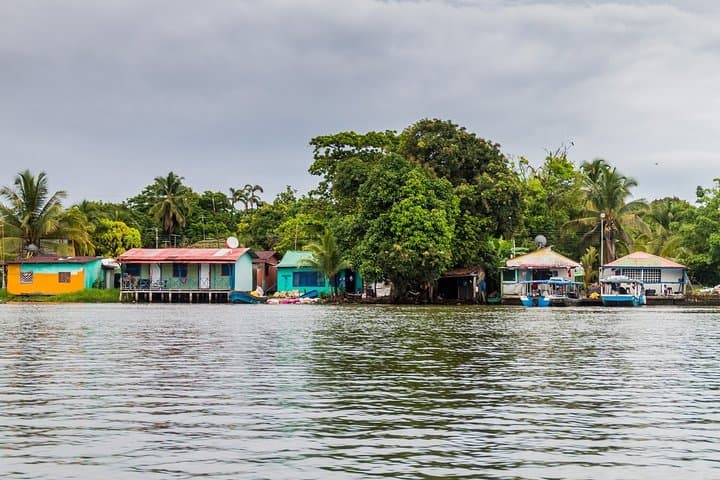 Tortuguero National Park 3-Day Turtle Nesting & Canal Adventure photo 4