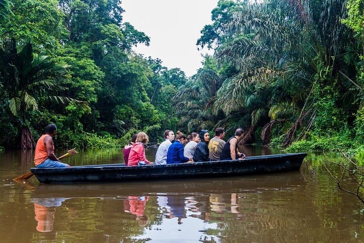 Tortuguero National Park 3-Day Turtle Nesting & Canal Adventure photo 5