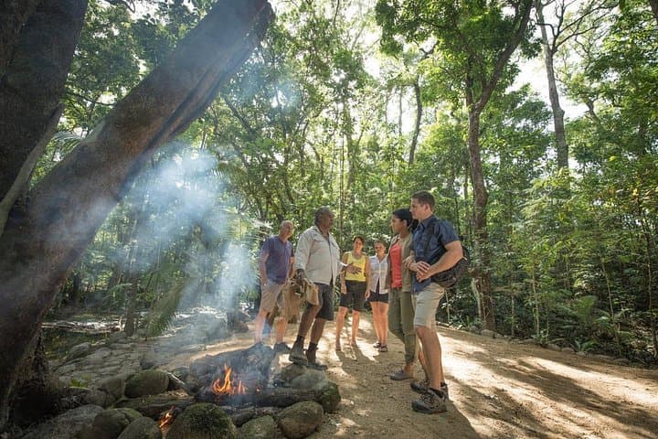 Mossman Gorge Adventure Day: River Drift, Kuku Yalanji Ceremony & Daintree Walk photo 4