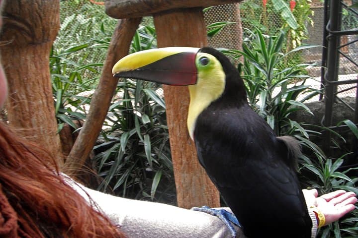 La Paz Waterfall Gardens: Waterfalls, Wildlife & Cloud Forest Day Tour from San José photo 4