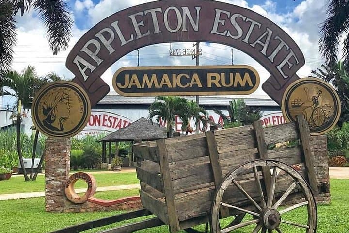 Appleton Estate Rum Private Tour from Montego Bay — Distillery Tasting & Sugar Cane Experience
