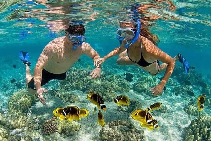 Punta Cana Half-Day Combo: Parasailing, Snorkeling, Hookah Diving & Party Catamaran photo 4