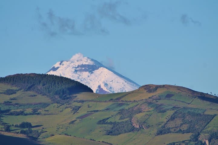 Roses & Horseback Riding Near Quito — Private Day Trip to Pifo's Highland Farms photo 4