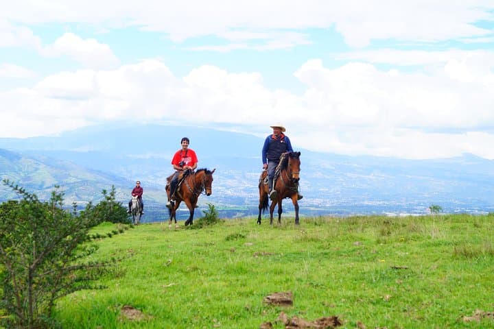 Roses & Horseback Riding Near Quito — Private Day Trip to Pifo's Highland Farms photo 5