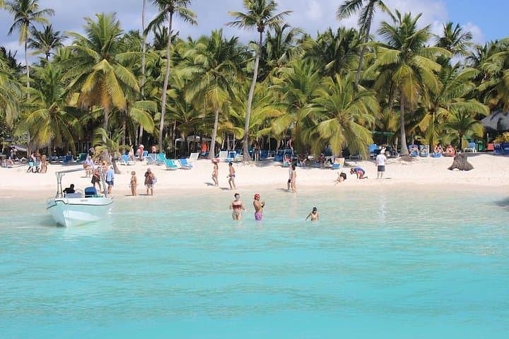 Saona Island Full-Day Excursion by Catamaran & Speedboat — From Punta Cana