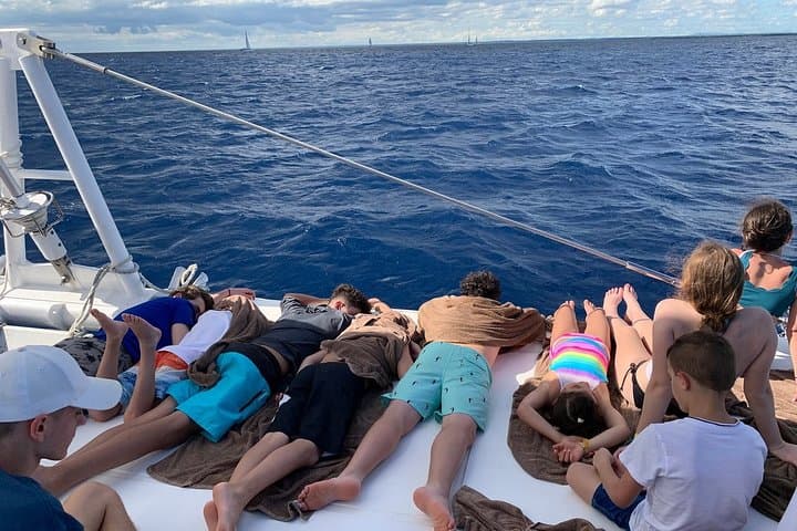 Saona Island Full-Day Excursion by Catamaran & Speedboat — From Punta Cana photo 4