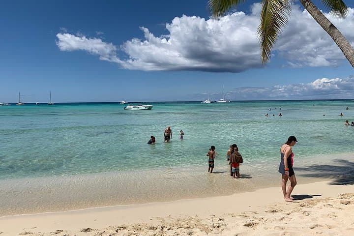 Saona Island Full-Day Excursion by Catamaran & Speedboat — From Punta Cana photo 6