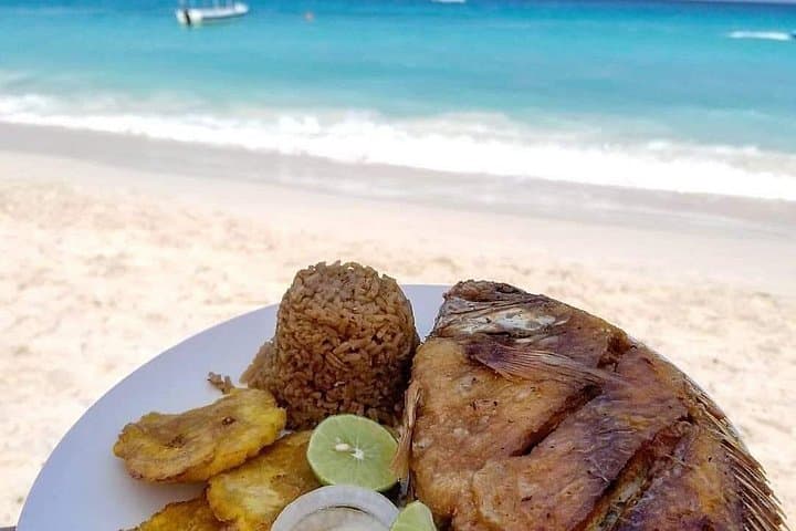 Rosario Islands Day Trip: Oceanarium, Snorkel the Plane Wreck & Playa Blanca Lunch photo 3