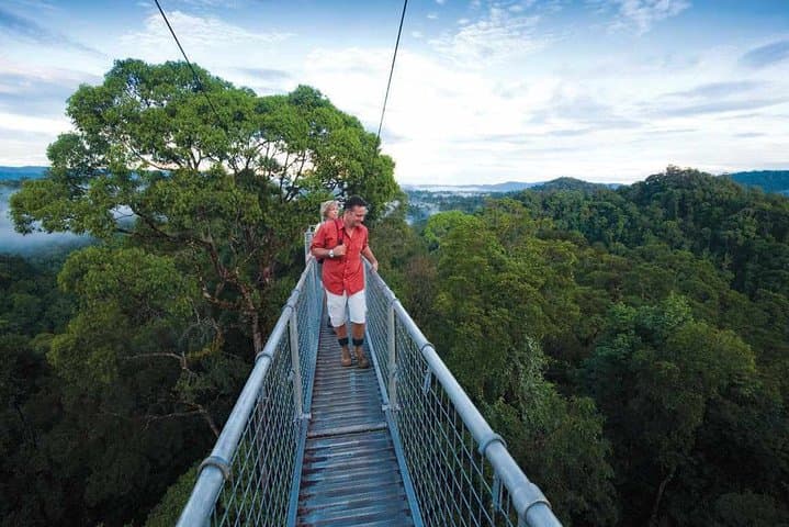 Ulu Temburong Canopy Walk Day Trip: Rainforest, Waterfall & River Tube from Bandar Seri Begawan photo 3