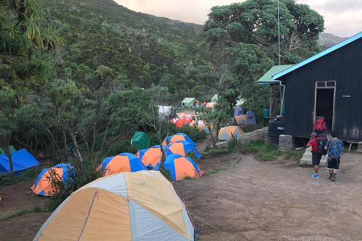 6-Day Kilimanjaro Ascent via Machame Route: A Practical Guide to Reaching Uhuru Peak photo 6