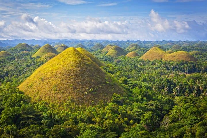 Full-Day Bohol Highlights from Cebu: Chocolate Hills, Tarsiers & Loboc River photo 3