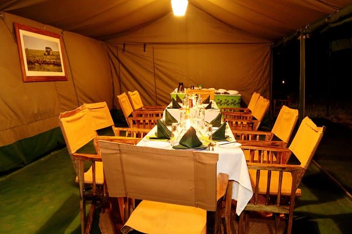 Majestic Tanzania: 10-Day Luxury Safari Adventure in Serengeti & Ngorongoro photo 5