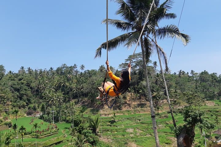 Ubud Swing, Tegalalang Rice Terrace & Water Temple Day Tour photo 5