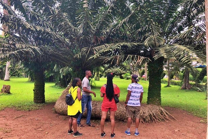 Boti Falls and Aburi Botanical Gardens Private Day Tour with Lunch from Accra photo 4