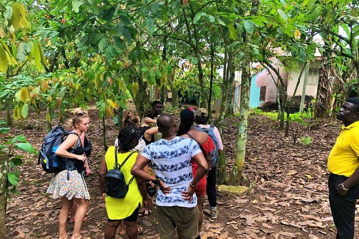 Boti Falls and Aburi Botanical Gardens Private Day Tour with Lunch from Accra photo 2