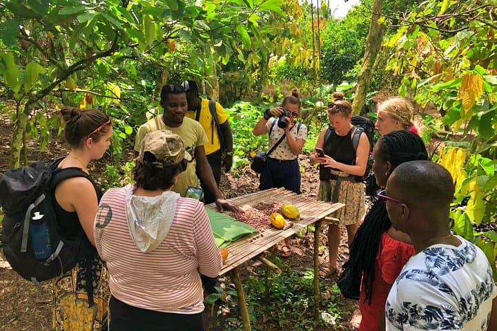 Boti Falls and Aburi Botanical Gardens Private Day Tour with Lunch from Accra photo 3