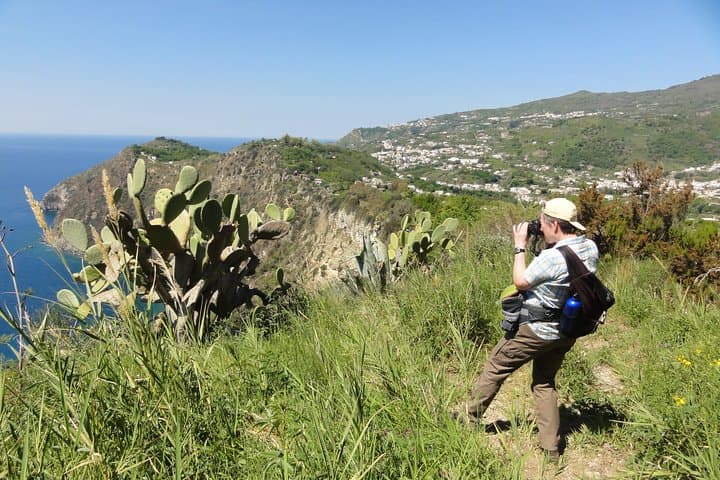 Half-Day East Coast Hike on Ischia: Vesuvius Views, Vineyards & Volcanic Cliffs