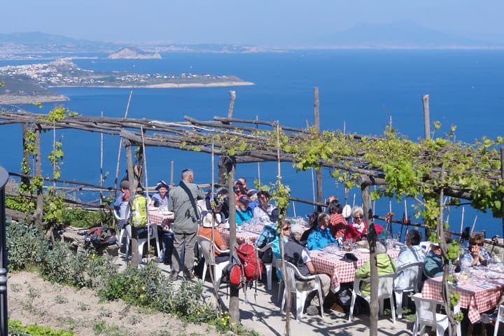Half-Day East Coast Hike on Ischia: Vesuvius Views, Vineyards & Volcanic Cliffs photo 2