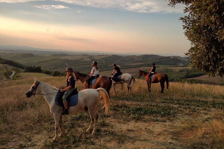 Horseback Riding Through the Crete Senesi: Explore Tuscan Nature on Horseback photo 5