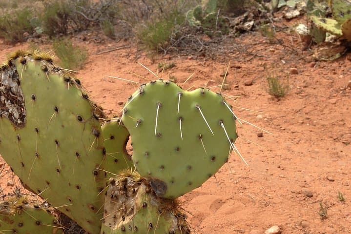 Private Montezuma Castle & Tuzigoot National Monument Luxury Tour from Sedona photo 5
