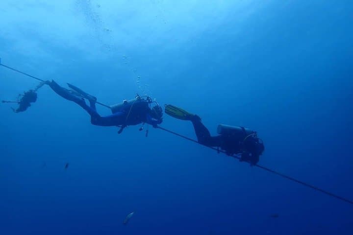 Koh Chang 3-Dive Trip: HTMS Chang Wreck & Koh Rang Coral Reefs photo 5